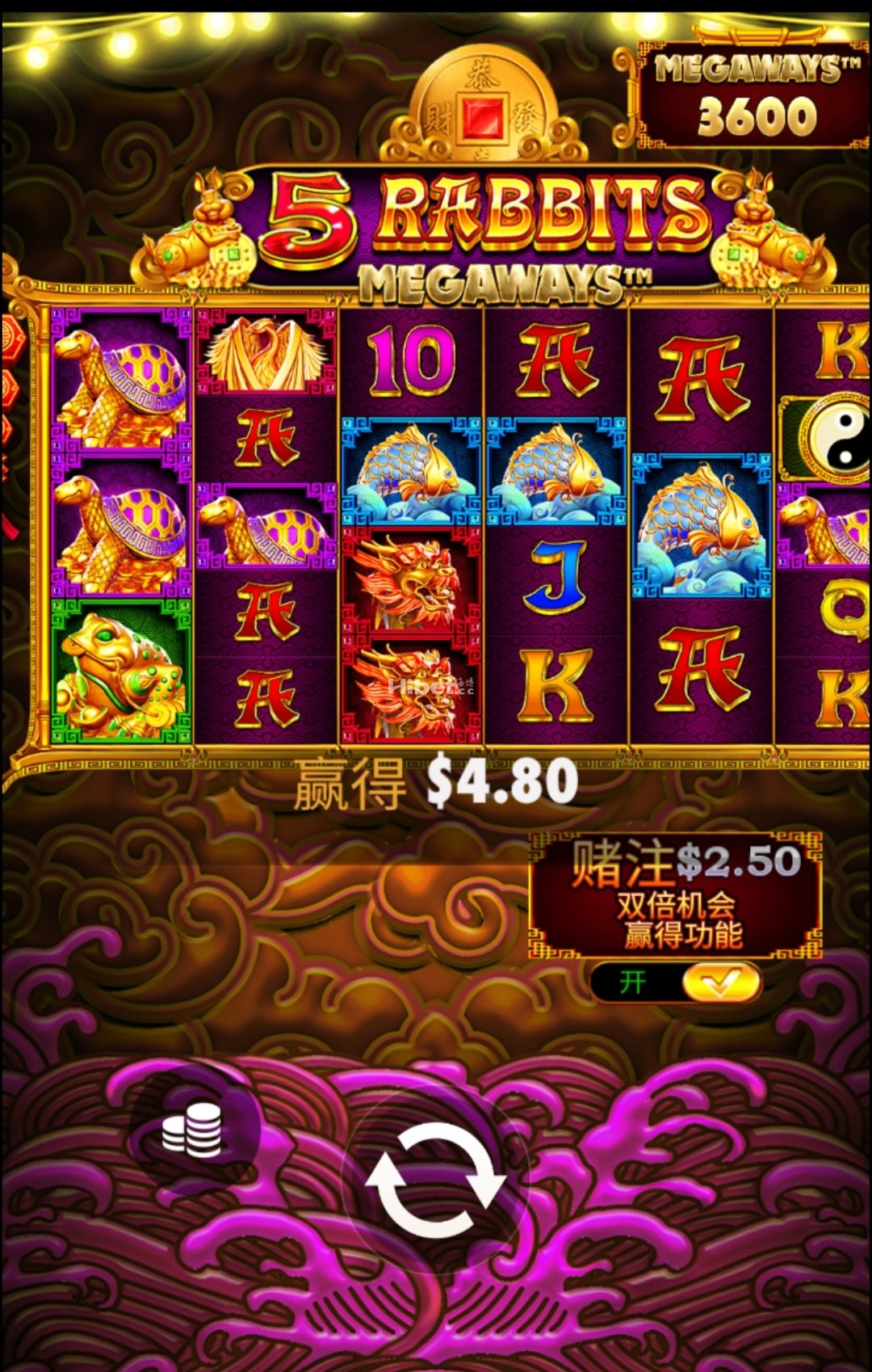 5金兔不行止损了