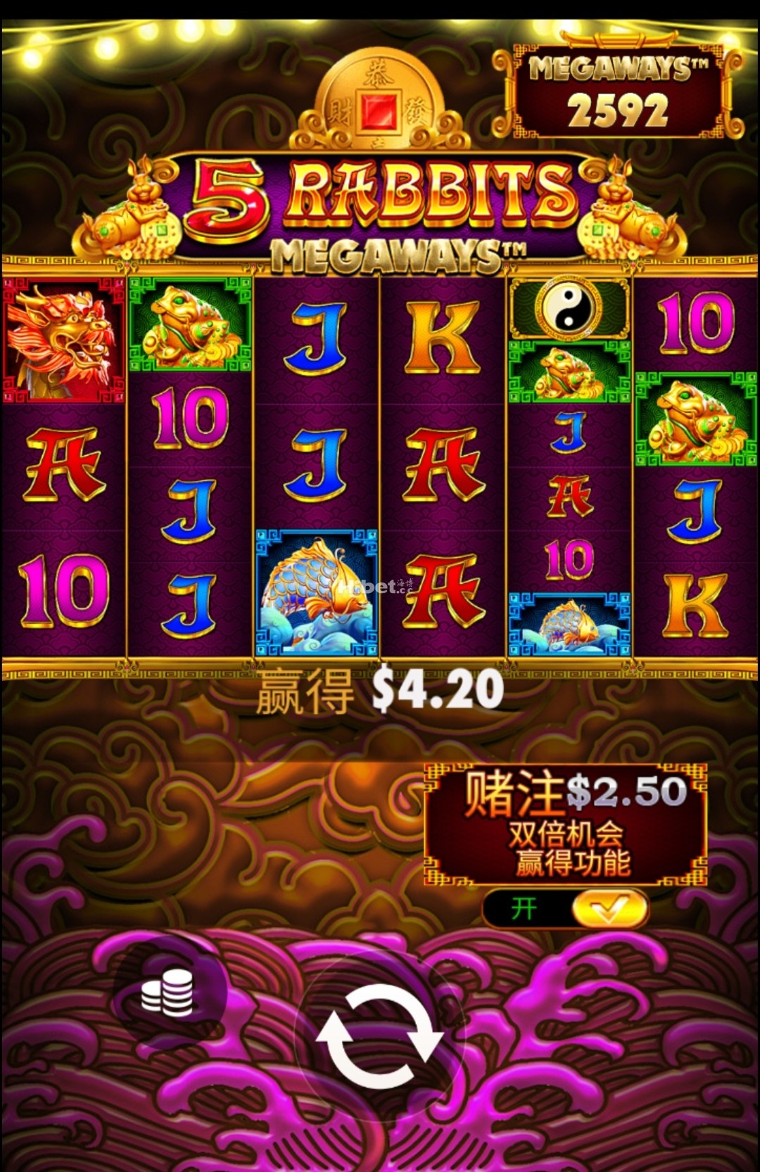 5金兔不出大奖亏损了