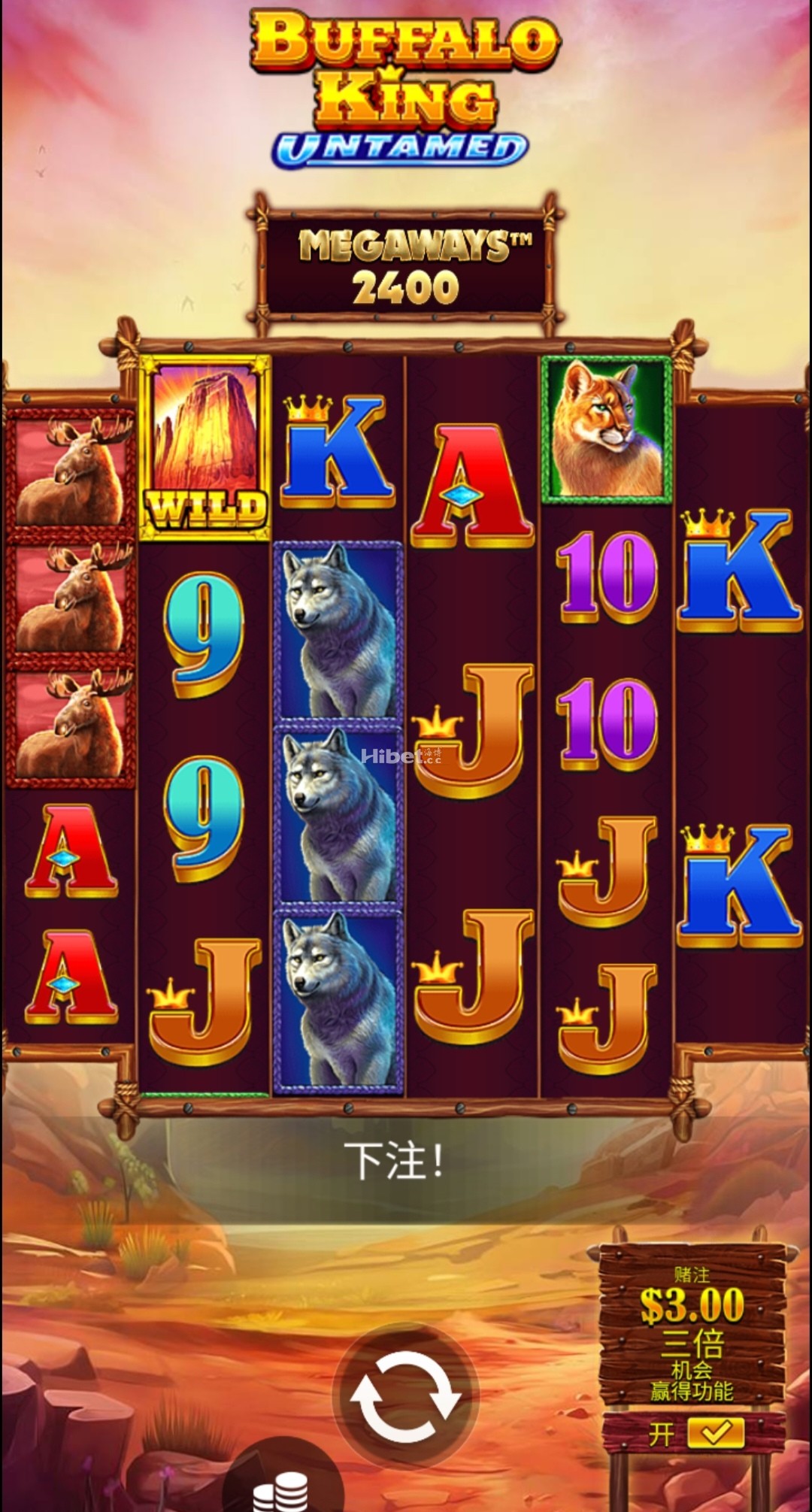 王者野牛奔放吃人认输了