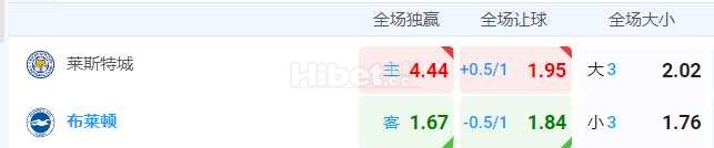 英超 2024-12-08 22:00 星期日莱斯特城vs布莱顿