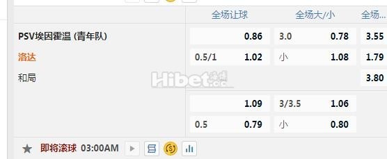 荷乙 埃因霍温青年队 VS 罗达JC